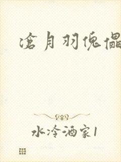 沧月羽傀儡之城