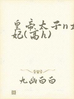 皇帝太子n太子妃(高h)