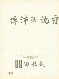 傅沛洲沈霞小说