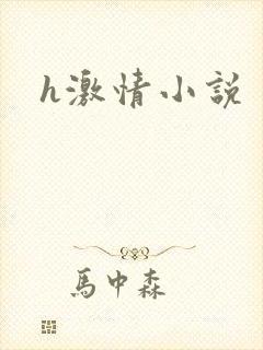 h激情小说