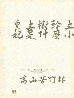 皇上树干上太子妃是什么小说