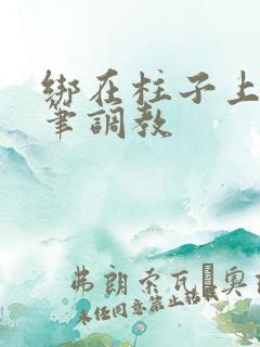 绑在柱子上用毛笔调教