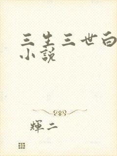 三生三世白暮泪小说