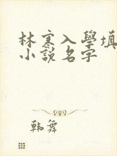 林寒入学填未婚小说名字
