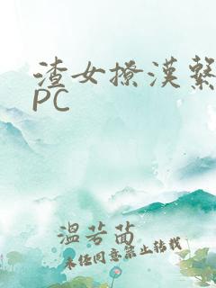 渣女撩汉系统NPC