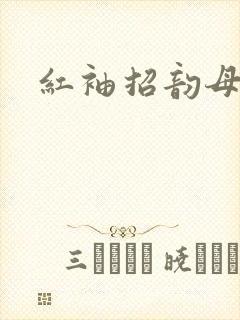 红袖招韵母攻略