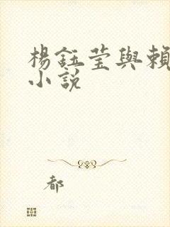 杨钰莹与赖昌星小说