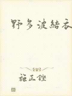野多波结衣