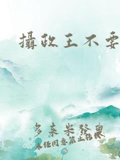 摄政王不要