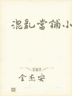 混乱当铺小说