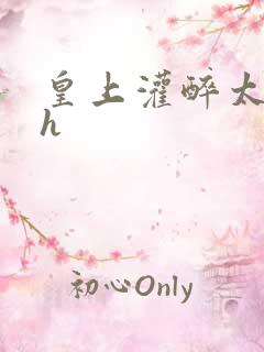 皇上灌醉太子妃h