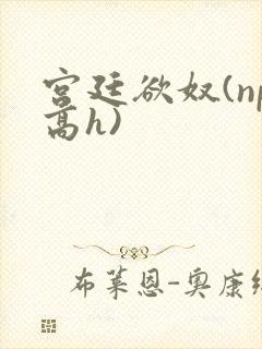 宫廷欲奴(np高h)