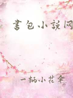书包小说网