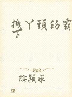 拽丫头的霸道殿下