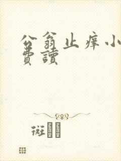 公翁止痒小说免费读