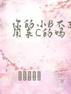 你的小B不就是用来C的吗