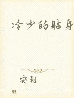 冷少的贴身女人