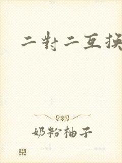 二对二互换共享