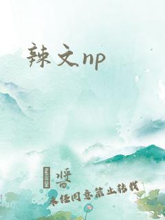 辣文np