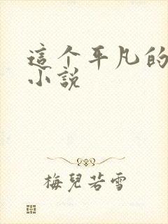 这个平凡的男子小说