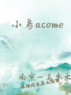 小鸟acome