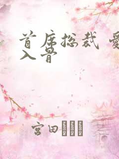 首席总裁 爱你入骨