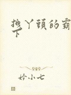 拽丫头的霸道殿下