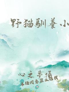 野猫驯养小说