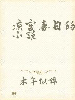 凉宫春日的忧郁小说