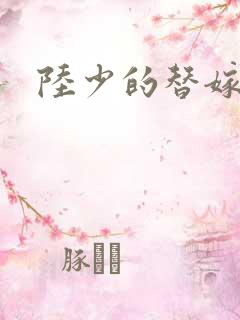 陆少的替嫁宠妻