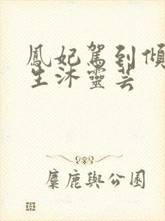 凤妃驾到倾倒众生沐灵芸