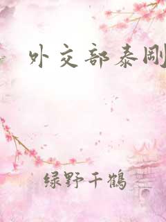 外交部泰刚死亡