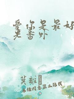 爱你是最好的时光番外