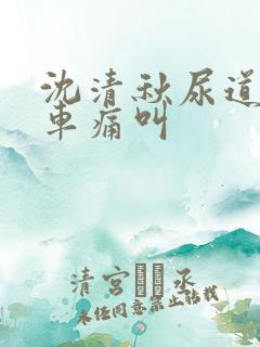 沈清秋尿道扩张车痛叫