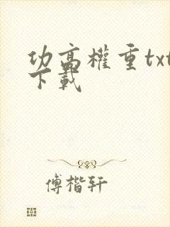 功高权重txt下载