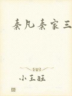秦凡秦家三少