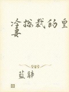 冷总裁的皇后暖妻