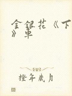 金银花《下厨房》车