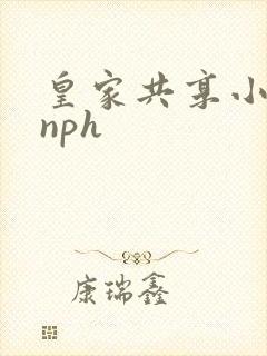 皇家共享小公主nph