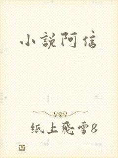 小说阿信
