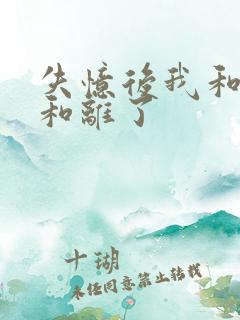 失忆后我和王爷和离了