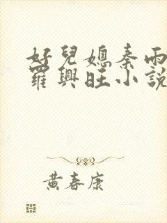 好儿媳秦雨罗明罗兴旺小说