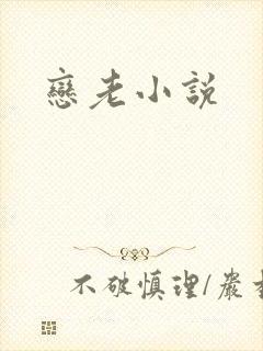 恋老小说