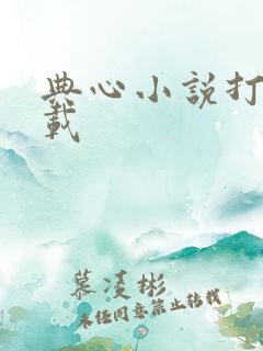 典心小说打包下载