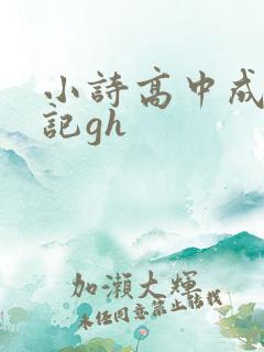 小诗高中成长日记gh