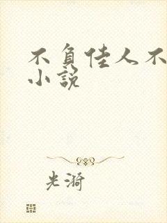 不负佳人不负卿小说