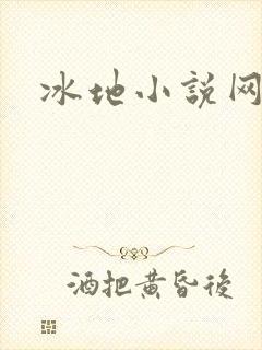冰地小说网