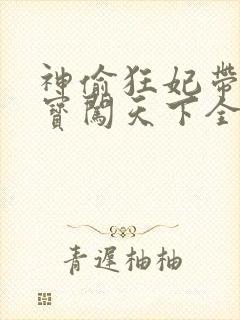 神偷狂妃带着宝宝闯天下全文免费阅读