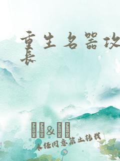 重生名器攻略兄长