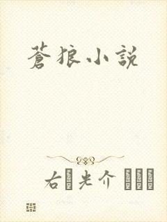苍狼小说